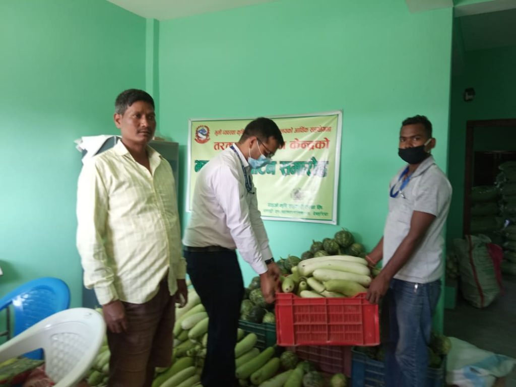 दाइजो कृषि सहकारी संस्थाले बिपन्न परिवारका लागि तरकारी सहयोग