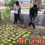 बर्षि पुजा कब और कैसे