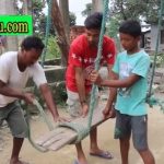 सामनकाे डाेला कब  ? गानबाली गितकाे भिडियाे सहित