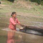 अबिरल बर्षाले नदिको वहाब बढे संगै आम्दानीको स्रोत बनेको छ