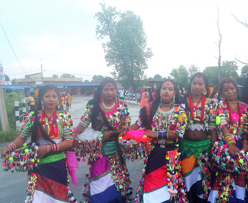 रानाथारू समुदाय भब्य रूपमे मनाइ तिज तिउहार , भिडियाे सहित