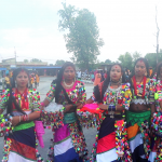 रानाथारू समुदाय भब्य रूपमे मनाइ तिज तिउहार , भिडियाे सहित