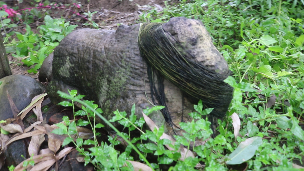 बिधबारो गाउको एक चिनारी