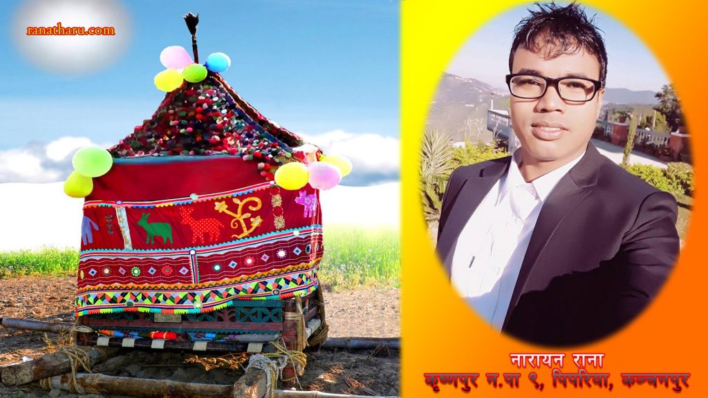 रानाथारु गावमे ब्याहको रौनक