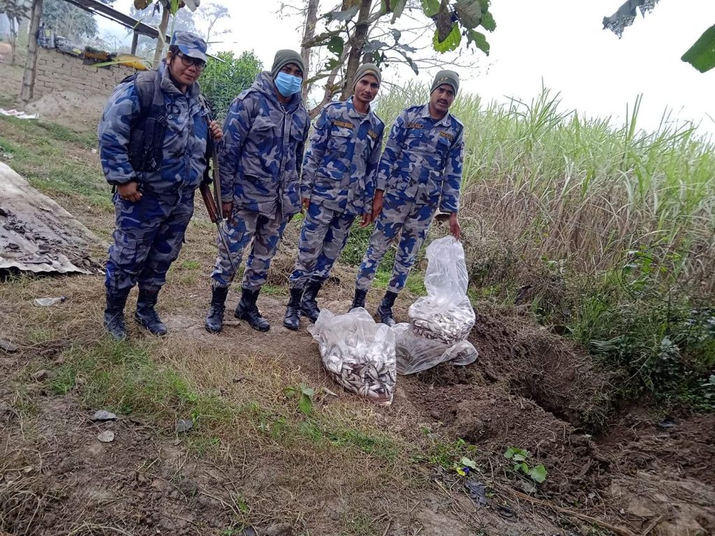 नेपाल सशस्त्र प्रहरीद्वारा अबैध माछा र चिनि बरामद गरि नष्ट गरिएको छ