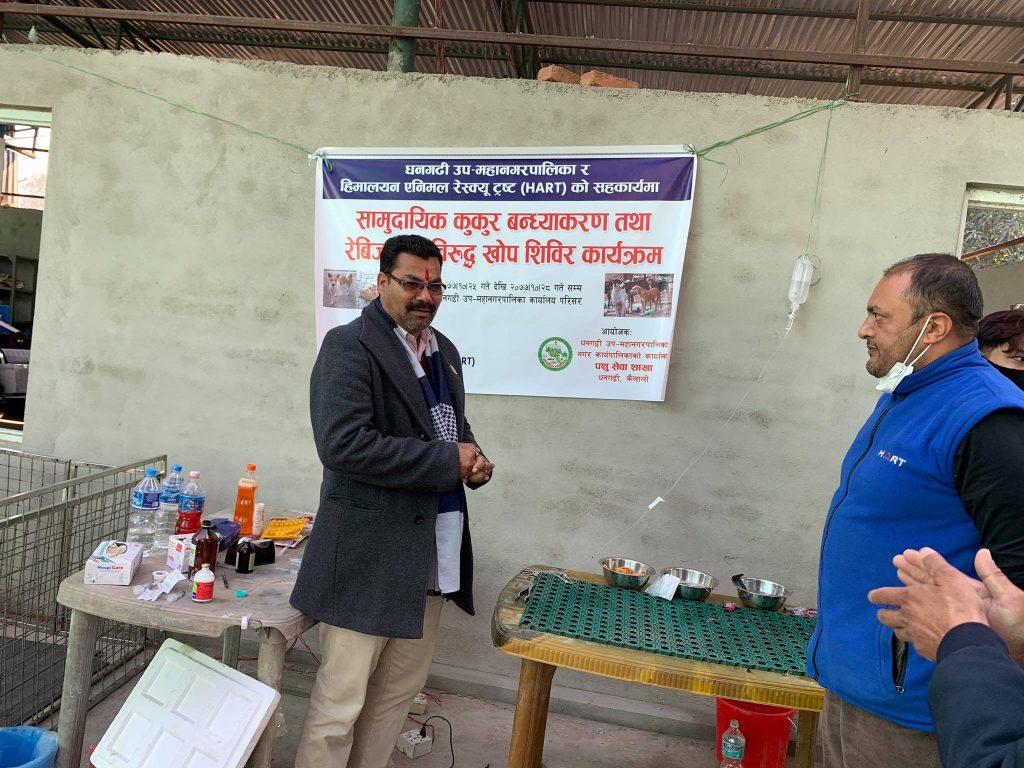 धनगढीमा समुदायीक कुकुरको बन्ध्याकरण