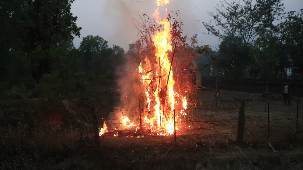 हारी ( होलीका ) दहन ,आज बाट रानाथारु सामुदायमा दिउसो होरी खेल्ने