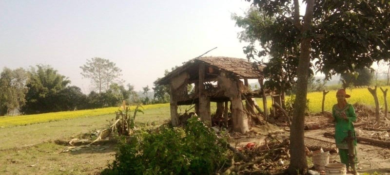 लालझाडीमा हात्ति अतंक