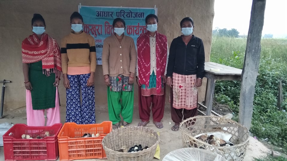 समूहमा आबद्ध सिमान्तकृत समुदायका महिलालाई कुखुरा बितरण