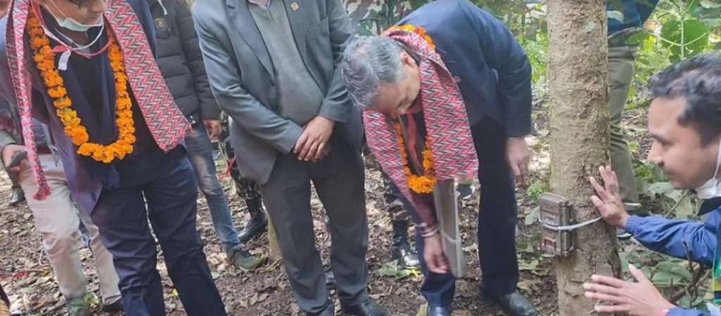 शुक्लाफाँटामा  बाघ गणनाका लागि स्वचालित क्यामेरा जडान