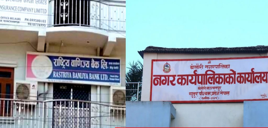 बेलाैरी नगरपलिका औ राष्ट्रिय वाणिज्य बैङ्क बिच कर्मचारीके ताँहि बिना धिताे कर्जा