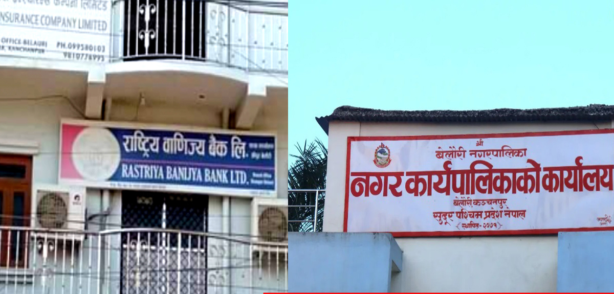 बेलाैरी नगरपलिका औ राष्ट्रिय वाणिज्य बैङ्क बिच कर्मचारीके ताँहि बिना धिताे कर्जा