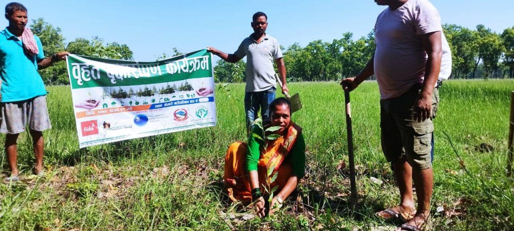वृहत बृक्षारोपण कार्यक्रम सुरु