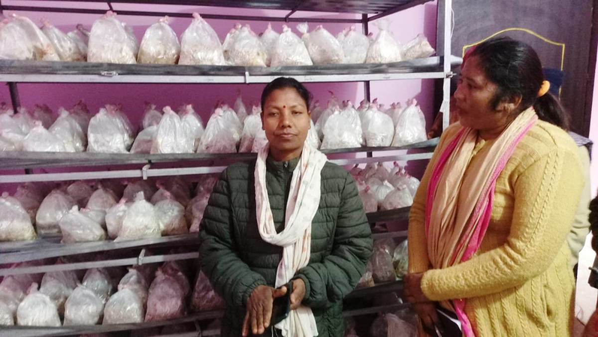 च्याउको बीउ उत्पादनमा कञ्चनपुरका महिला