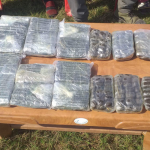 कैलालीमे नाै किलाे चरेस सहित ३ जनै पक्राउ