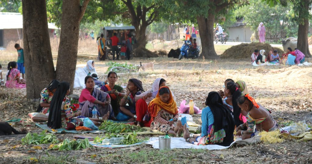 कैलाली र कञ्चनपुर जिल्लामा बसोबास गर्ने रानाथारुले चराइँ पर्व  मनाए