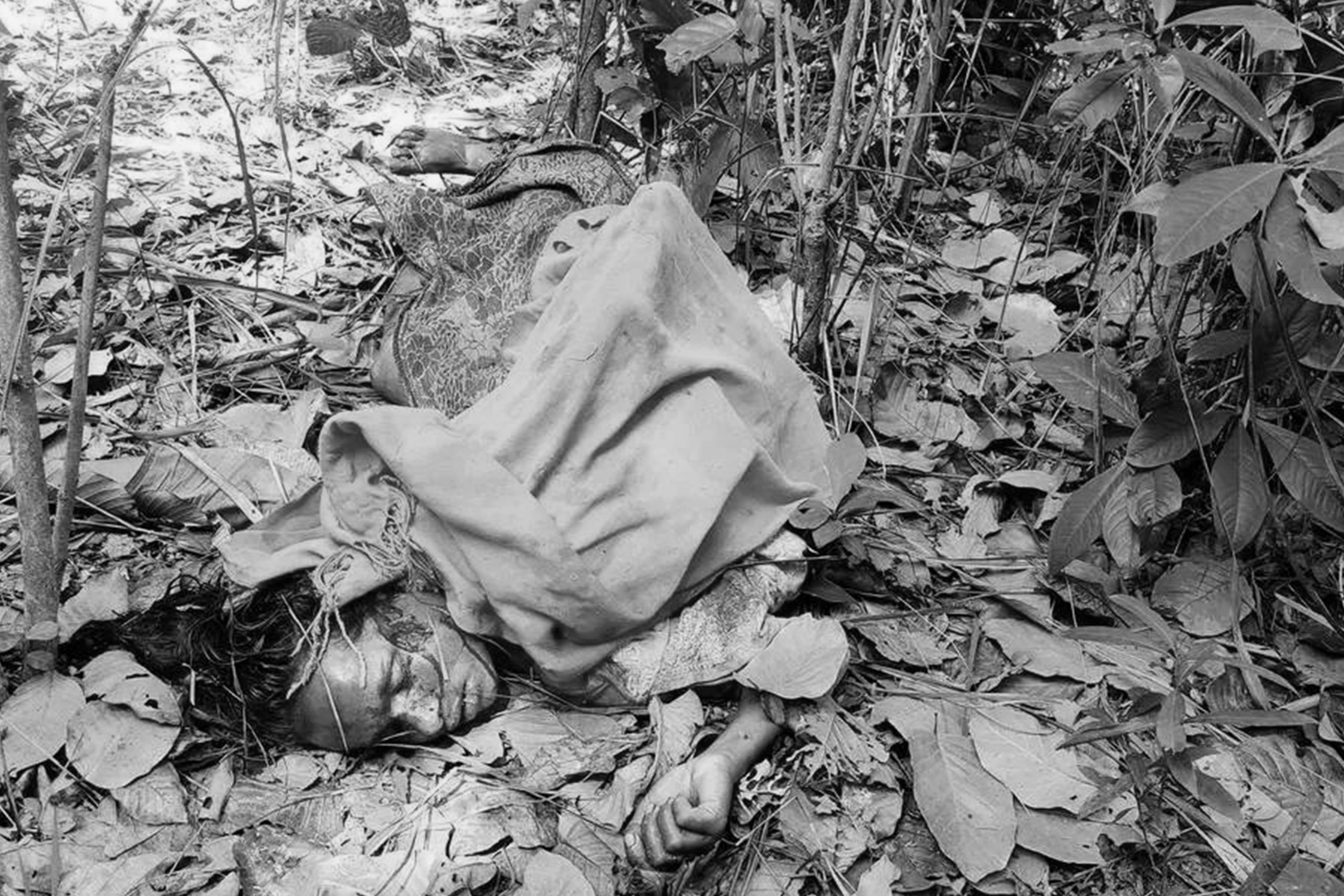 कञ्चनपुरमा बाघको आक्रमणबाट महिलाको मृत्यु