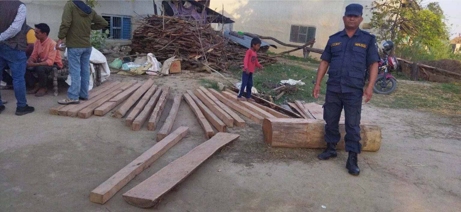 कृष्णपुरबाट अवैध काठ सहित १ जना पक्राउ