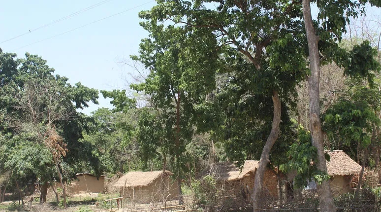 कैलालीकाे बसन्ता करिडोर अतिक्रमण करके बनाइ घर टहरा हटान सूचना जारी