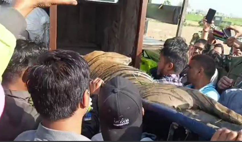 कञ्चनपुरमा मान्छे मर्ने बाघ नियन्त्रणमा