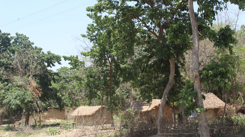 वन अतिक्रमण गरि बनाइएका घर टहरा हटाउने