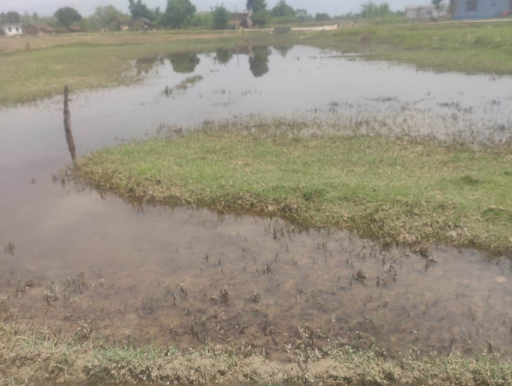 देखतभूलीको चन्टुकुण्डा ताल अतिक्रमणको चपेटामा परेको भन्दै संरक्षणको माग