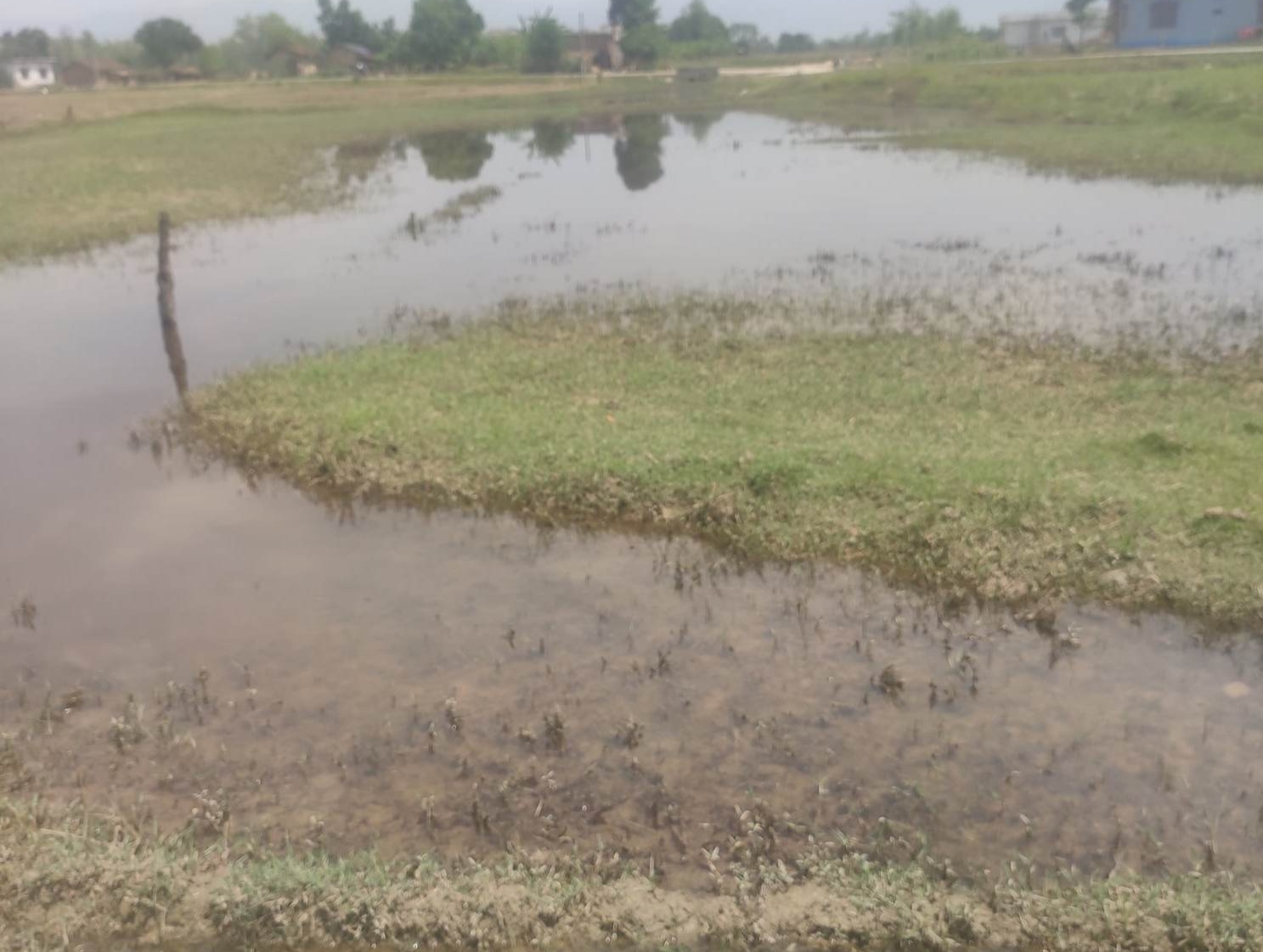 देखतभूलीको चन्टुकुण्डा ताल अतिक्रमणको चपेटामा परेको भन्दै संरक्षणको माग