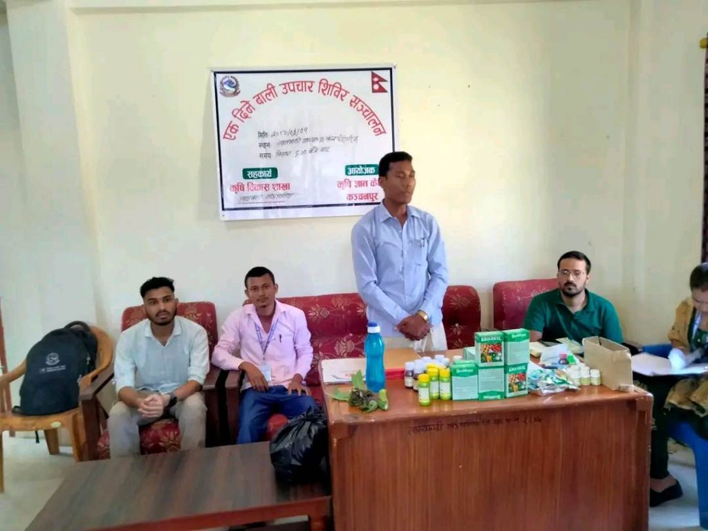 लालझाडीमा १ दिने बाली उपचार शिविर सञ्चालन