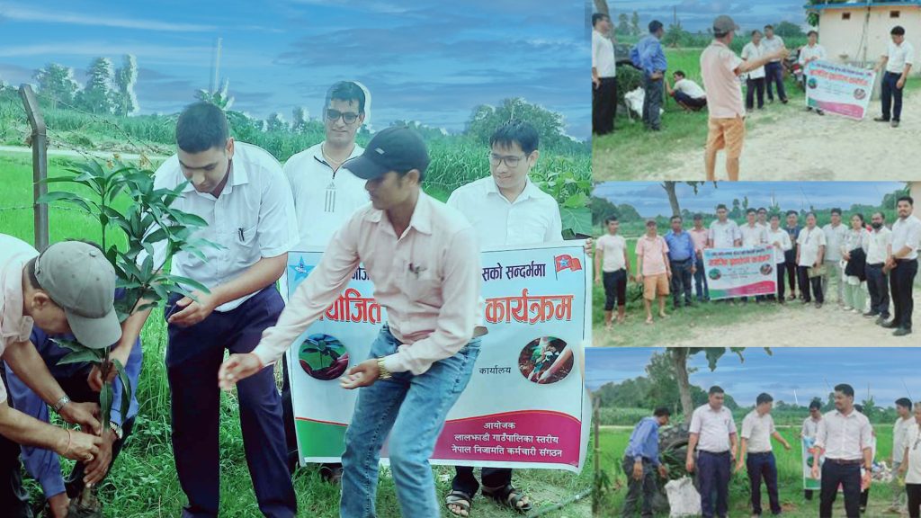 लालझाडीमा बृक्षाराेपण, निजामति कर्मचारी संगठन कञ्चनपुरकाे `सहिद सप्ताह´ कार्यक्रम