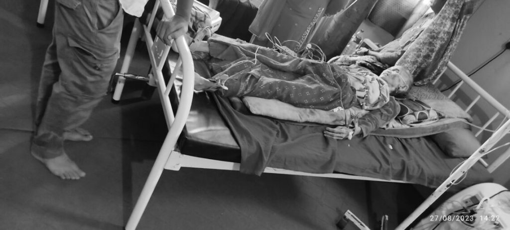 बेलाैरी ९ मा सर्पको टोकाईबाट एक वृद्धा महिलाको मृत्यु