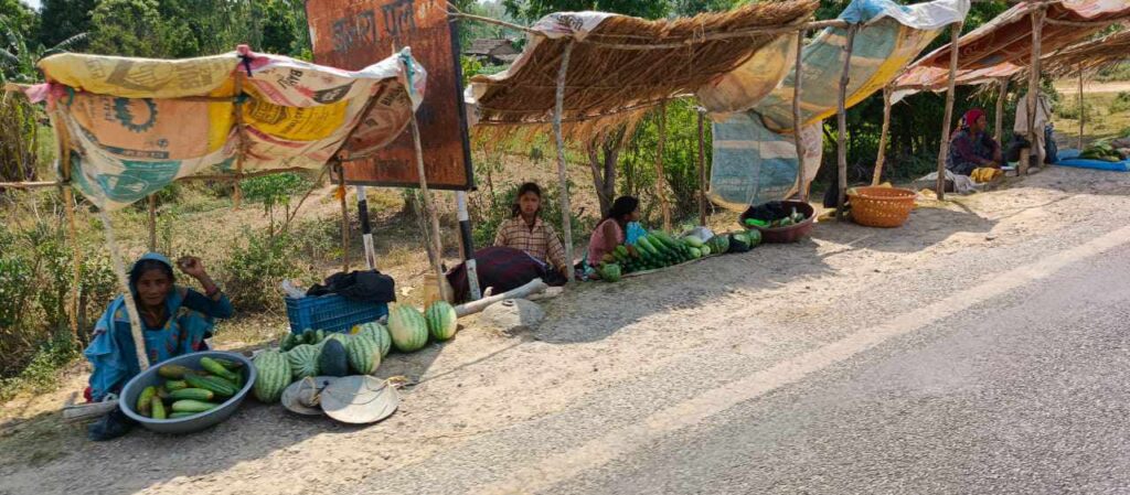 कञ्चनपुर कृष्णपुरको बनहरा नदीको बगरमा तरकारी खेती