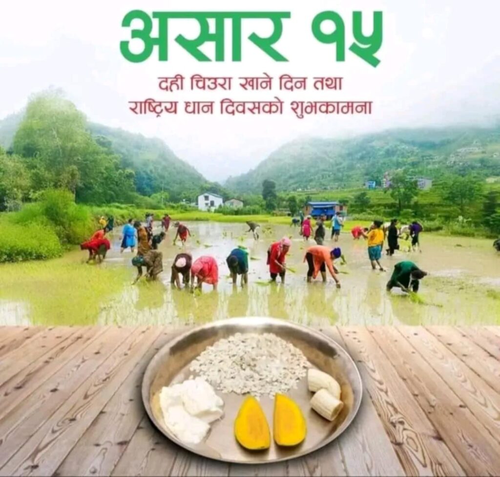 आज राष्ट्रिय धान दिवस लालझाडी गाउँपालिका लगायत देशभर मनाइँदै