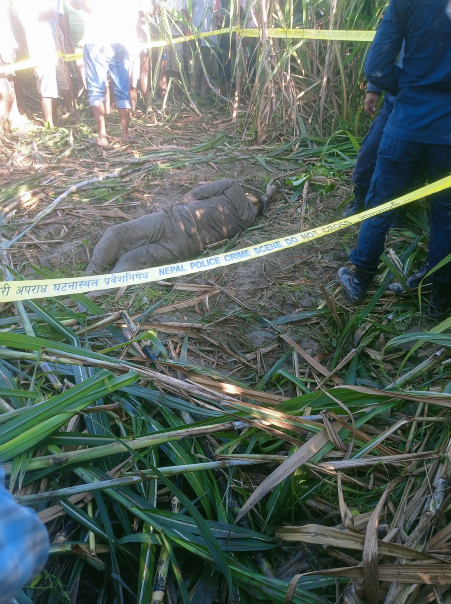 लालझाडीमा हात्ती को आक्रमण बाट एक जना को मृत्यु एक जना घाइते 