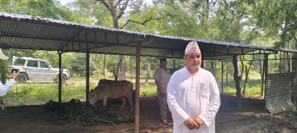 कृष्णपुरमा छाडिएका पशु चौपायाको नश्ल सुधार 