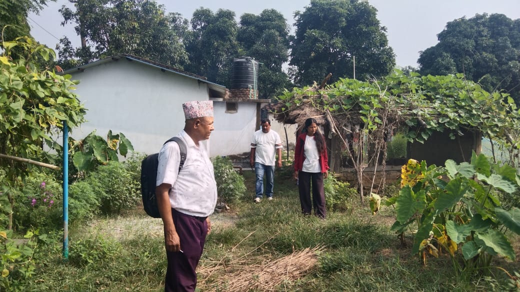 कृष्णपुरका किसान धान खेतीमा हाँस पालन गर्दै; ली-बर्डको सक्षम परियोजना अनुगमन  