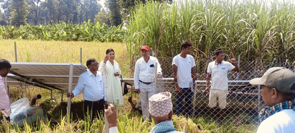 खल्ला जाई सिंचाई सोलार पम्पको खर्च को सार्वजनिक  