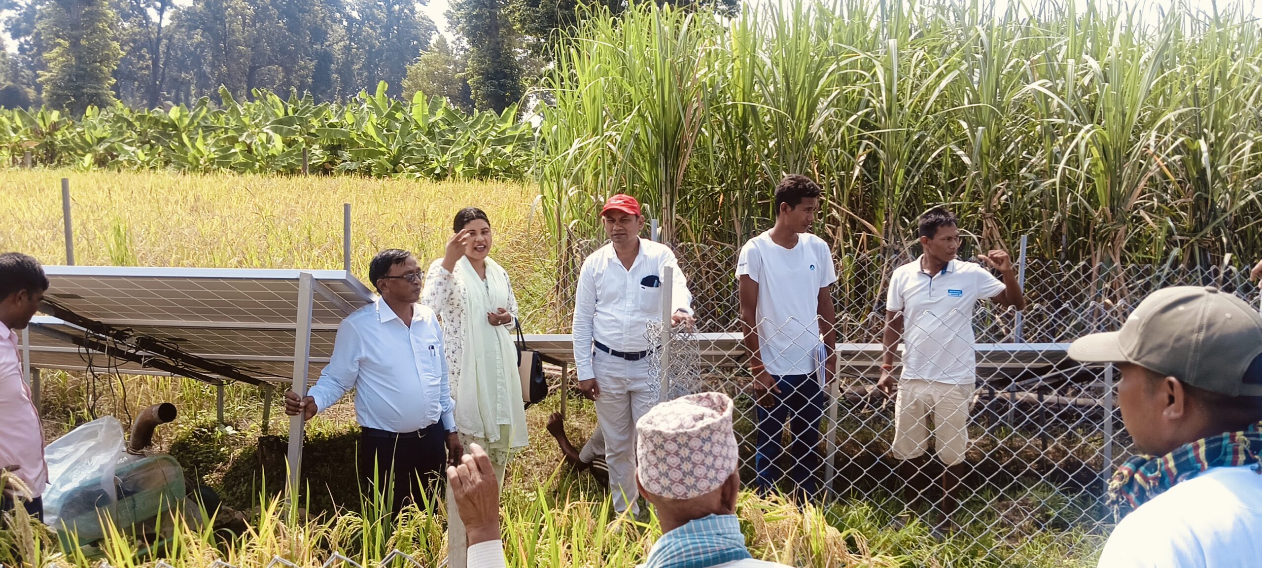 खल्ला जाई सिंचाई सोलार पम्पको खर्च को सार्वजनिक  