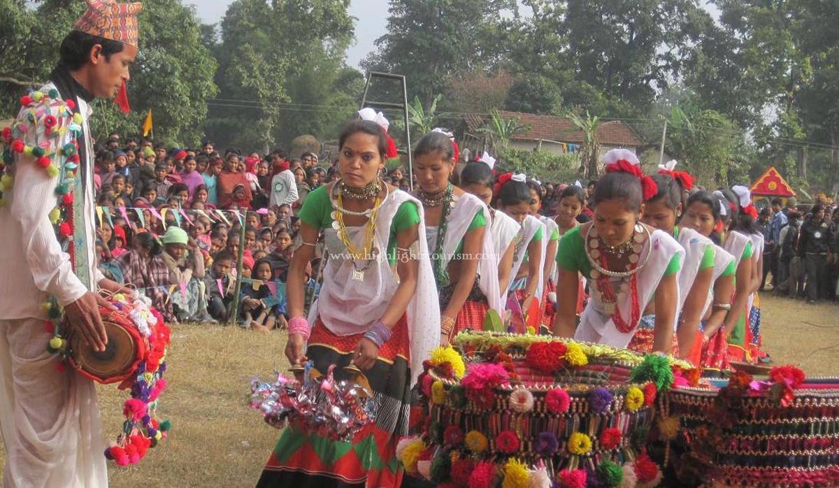 कञ्चनपुरका चौधरी बस्तीमा सखिया नाचको रौनक