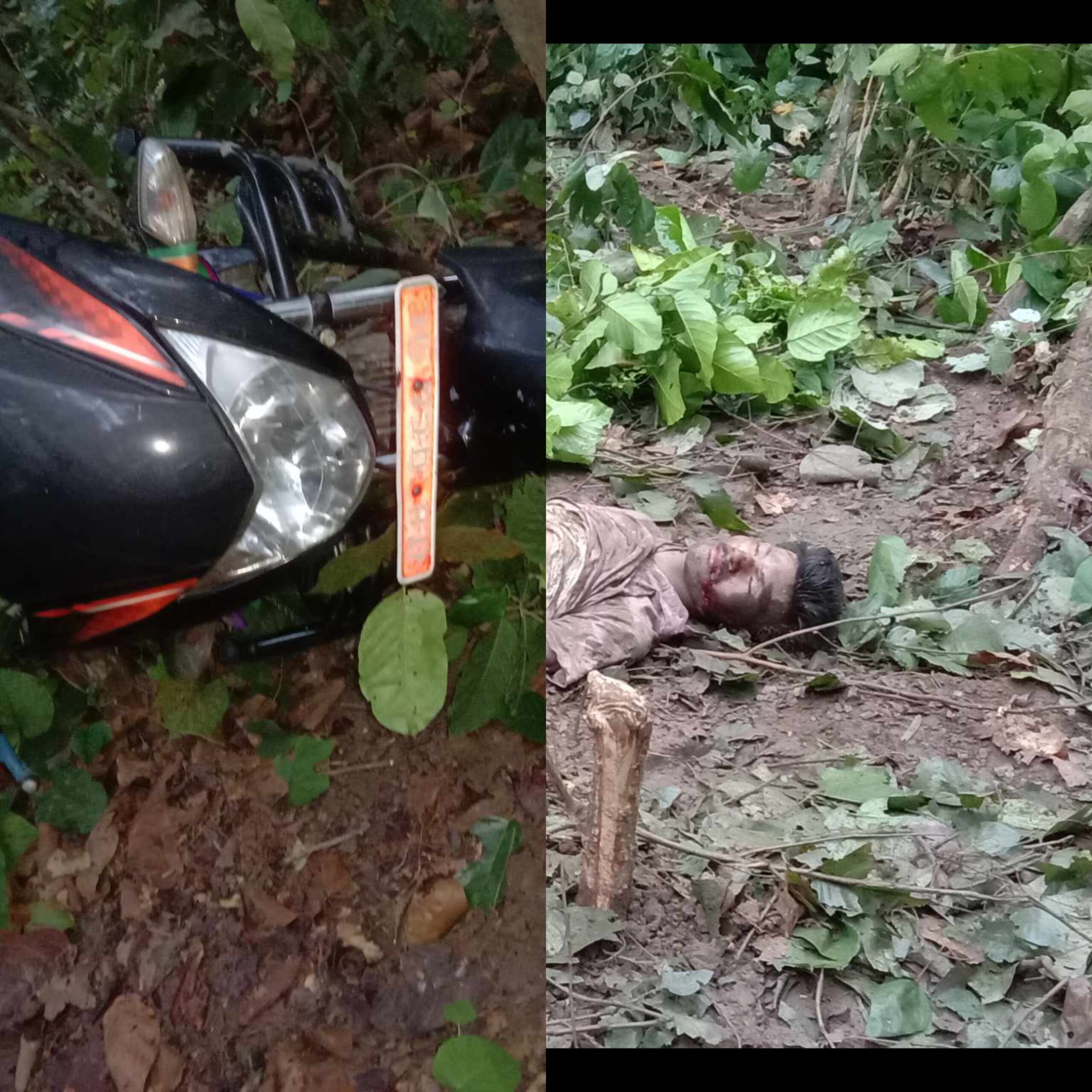 १० दिनमै फेरी कञ्चनपुरमा हात्तीको आक्र्रमण ः बेलौरीका उमेश चौधरीको मृत्यु