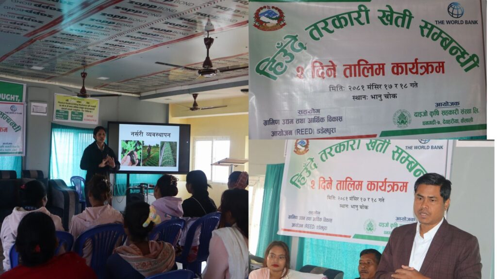 दाइजो कृषि सहकारी संस्थाद्वारा हिउँदे तरकारी खेती तालिम