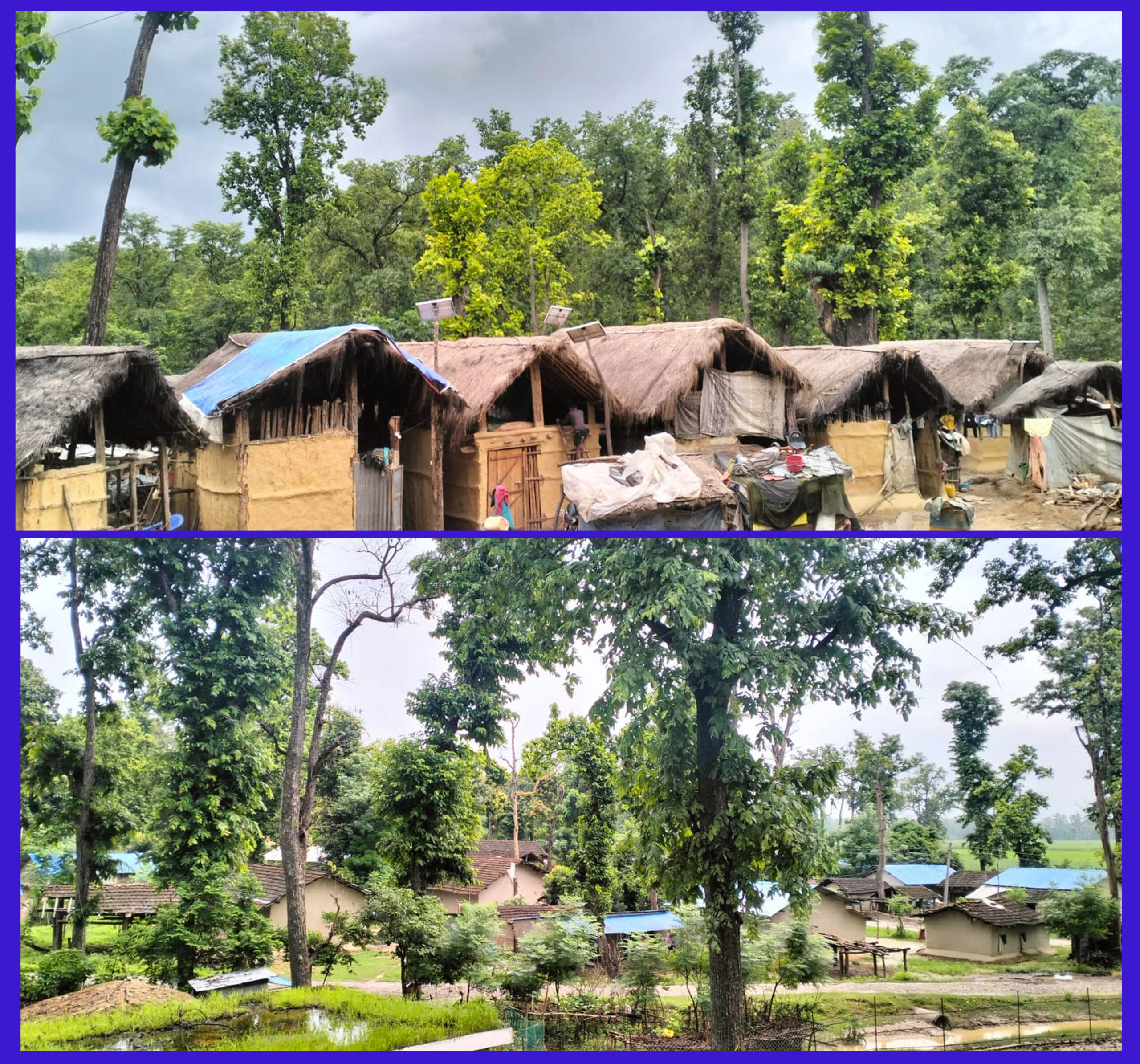 १६ बर्षदेखि लालझाडी गाउँपालिका र १० बर्षदेखि दुविचौरका वाढीपीडित नरकीय जिवन विताउँदै