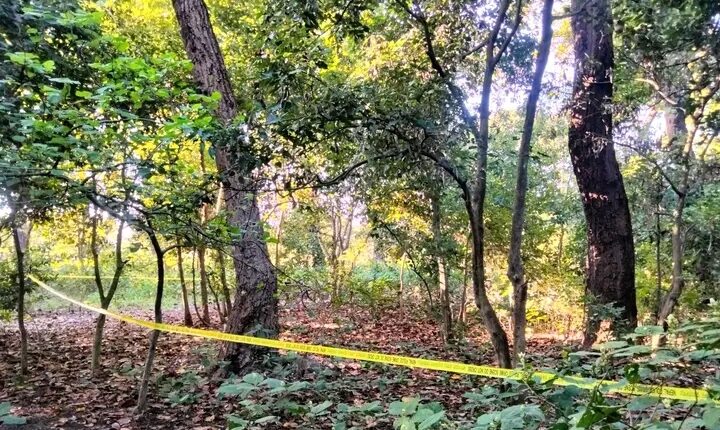 कैलालीको सामुदायिक वनमा दुई जना मृत फेला