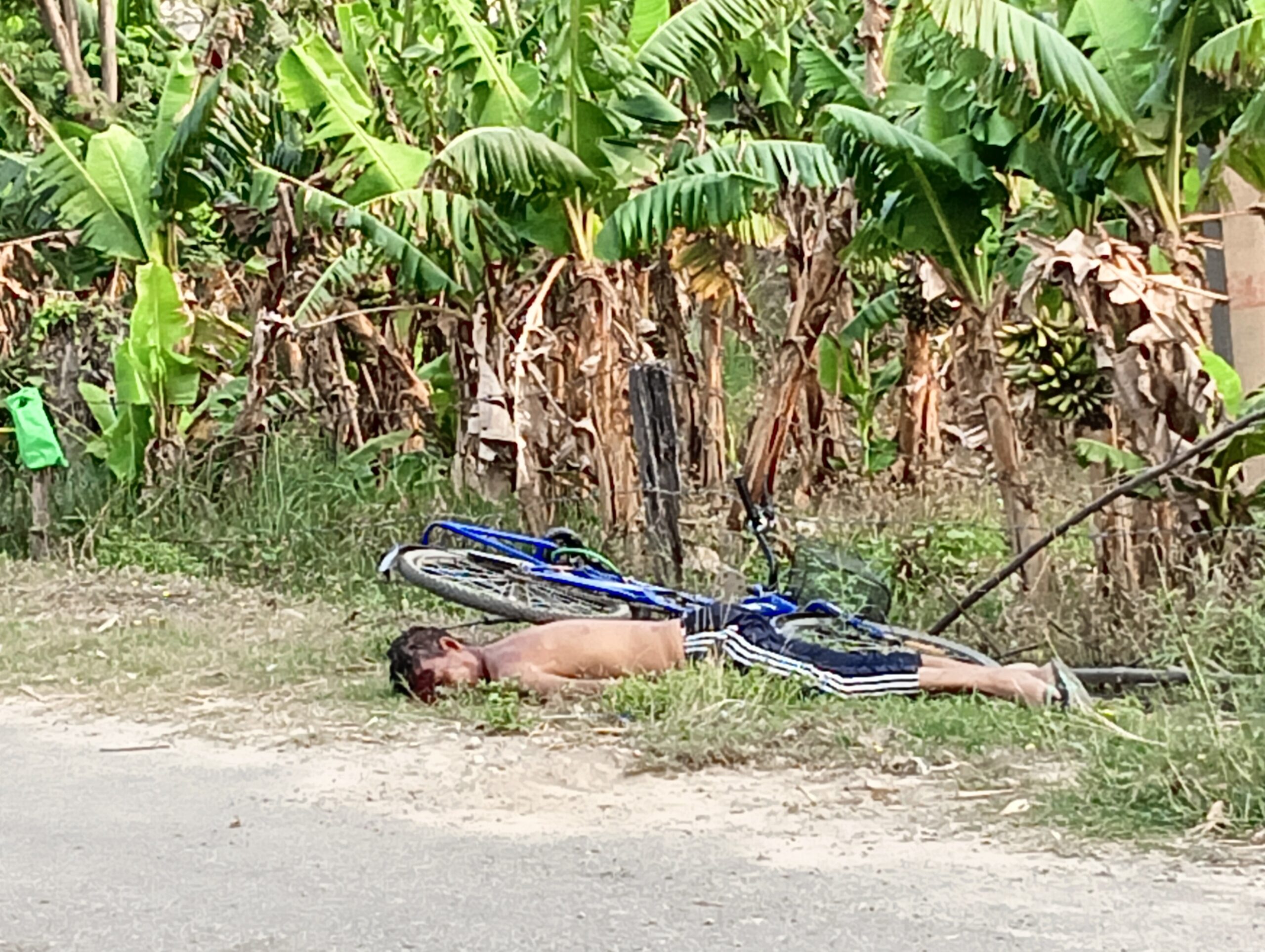 लालझाडीको सिकलपट्टी जाईमा राम रेसर राना मृत फेला