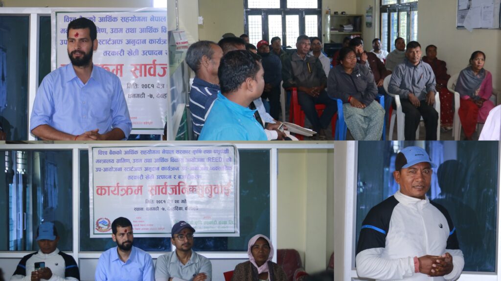 दाइजो कृषि सहकारी संस्थाद्वारा तरकारी खेती उत्पादन तथा बजारीकरण कार्यक्रमको सार्वजनिक सुनुवाई सम्पन्न