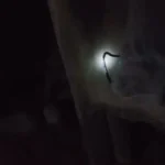 महिनावारी बार्न छाउगोठमा सुतेकी महिलाको सर्पले डसेर मृत्यु