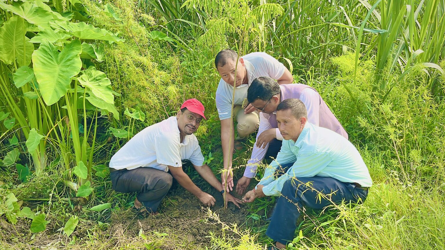 बेलौरी–७ मा वृक्षारोपण अभियान सुरु, २ हजार बढी बिरुवा रोपिँदै”