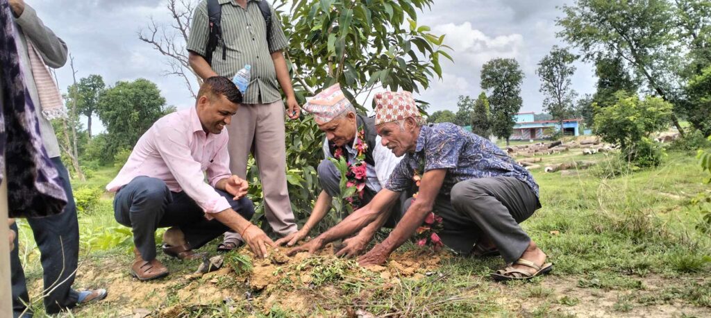 कञ्चनपुरमा बृक्षारोपण सप्ताह शुरु ः ५० हजार बिरुवा रोपिने 