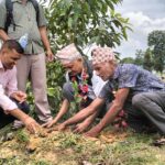 कञ्चनपुरमा बृक्षारोपण सप्ताह शुरु ः ५० हजार बिरुवा रोपिने 