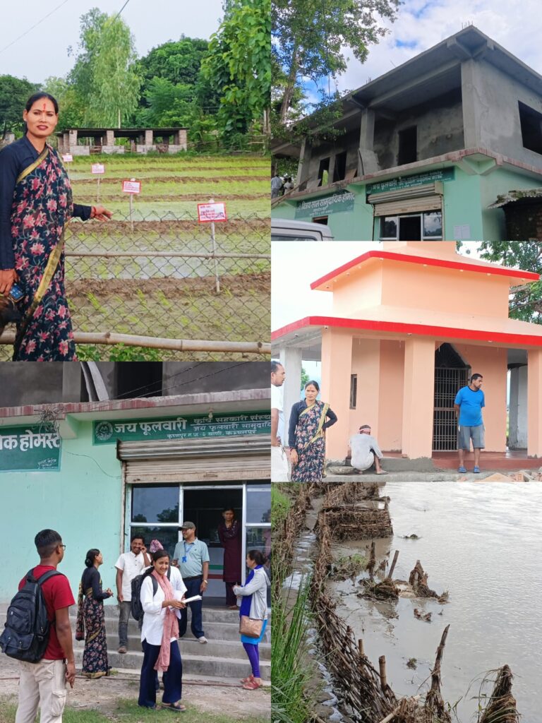 कृष्णपुर नगरपालिकाको वडा नं २ र ३ मा योजना अनुगमन नगर उपप्रमुख द्रोपती रानाद्वारा सम्पन्न