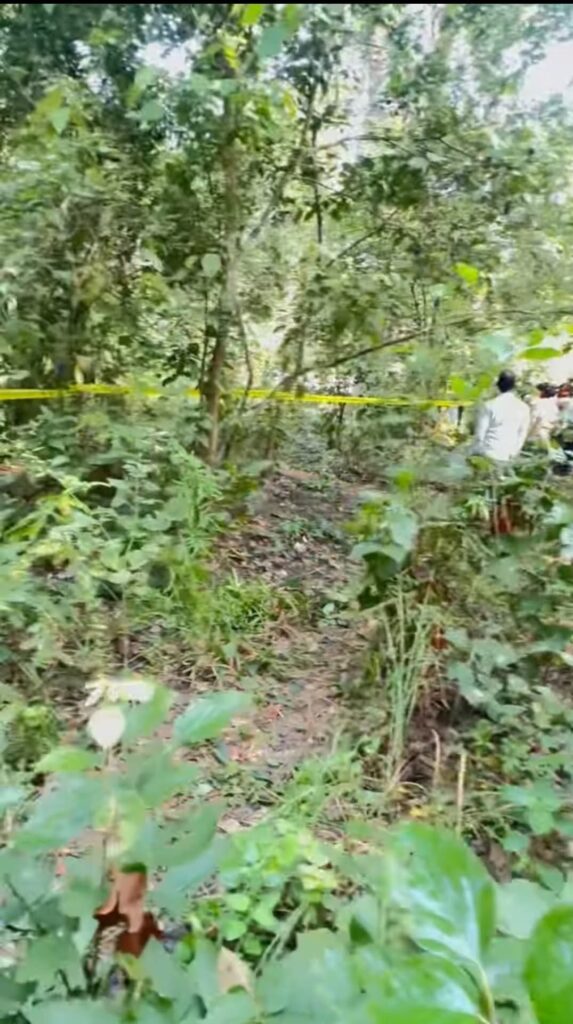 बेलौरी मा जंगली हात्ती को आक्रमणमा बाट एकजना  वृद्ध को मृत्यु